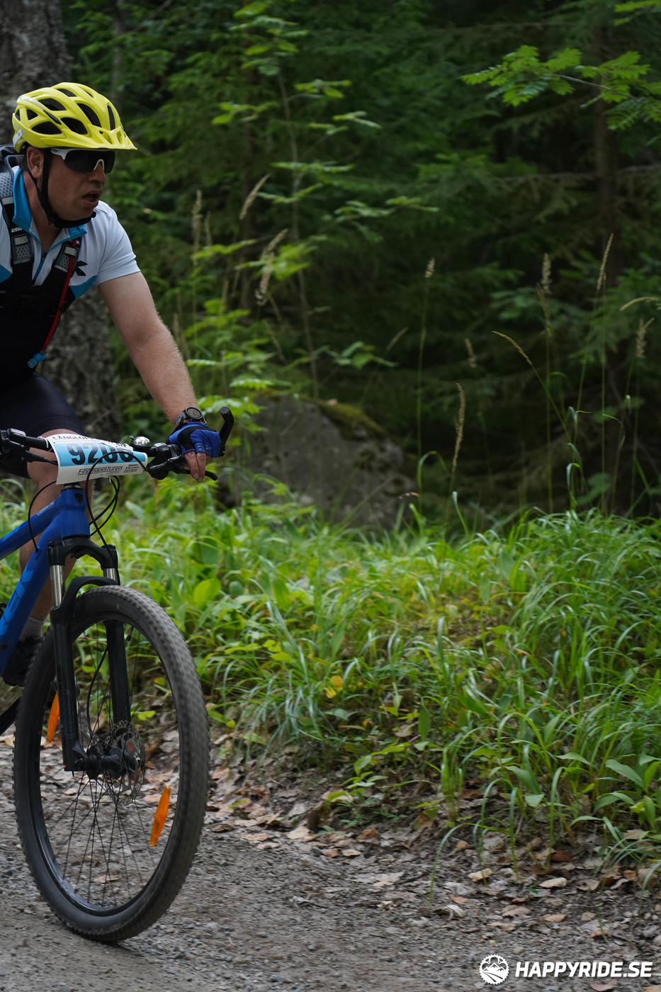 Bild från Finnmarksturen 2022