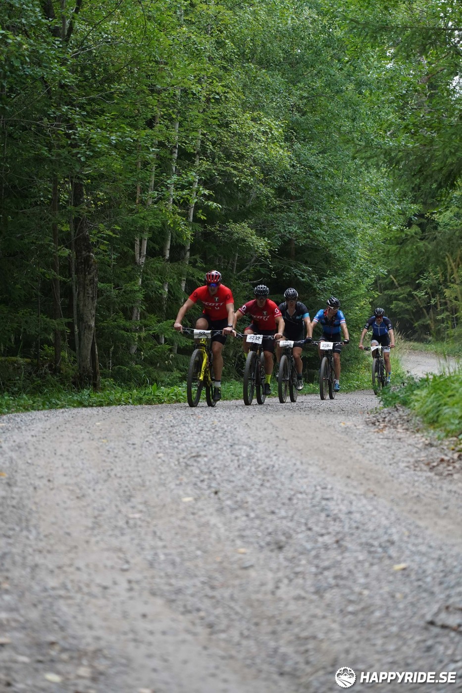 Bild från Finnmarksturen 2022