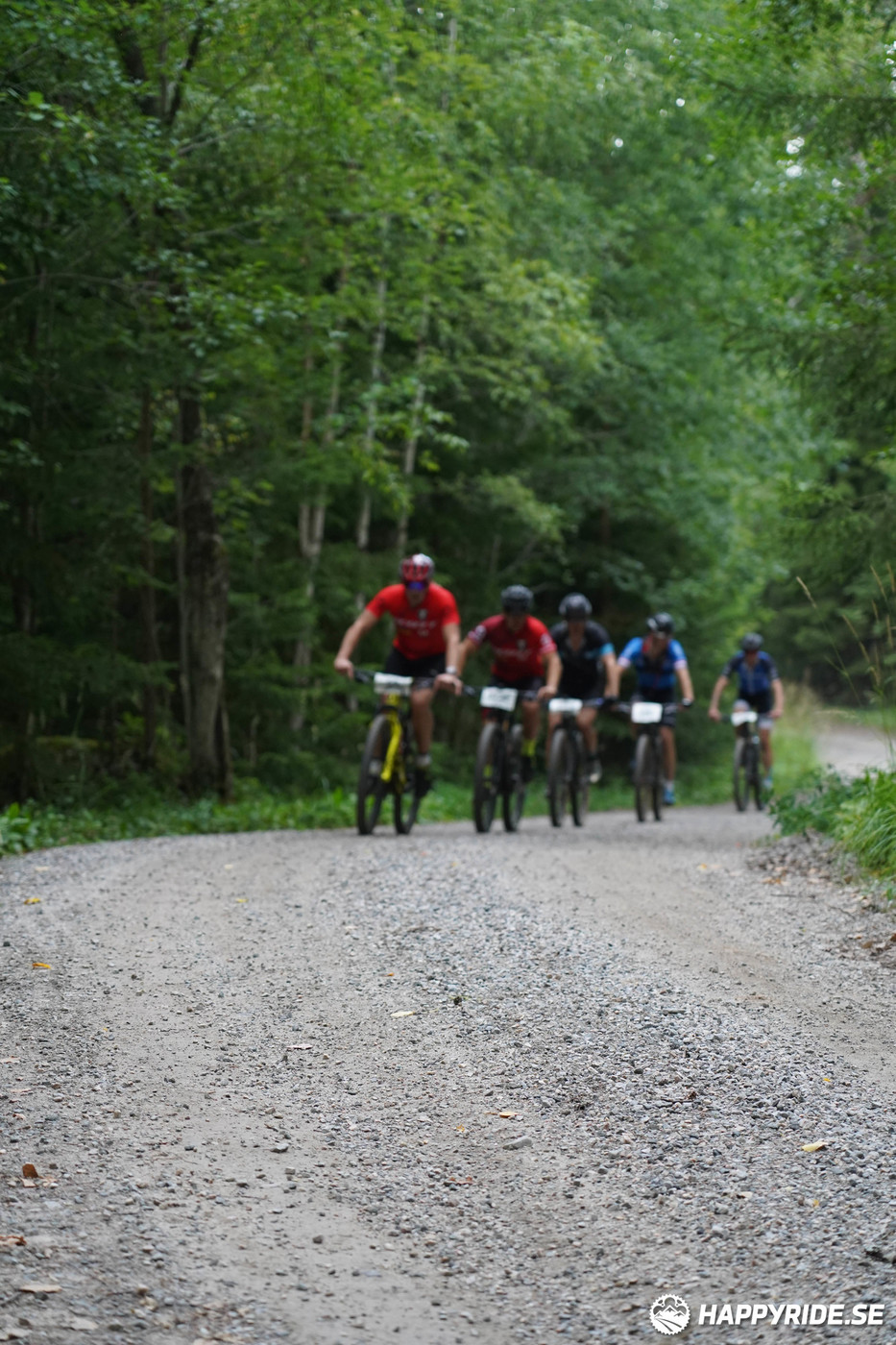 Bild från Finnmarksturen 2022