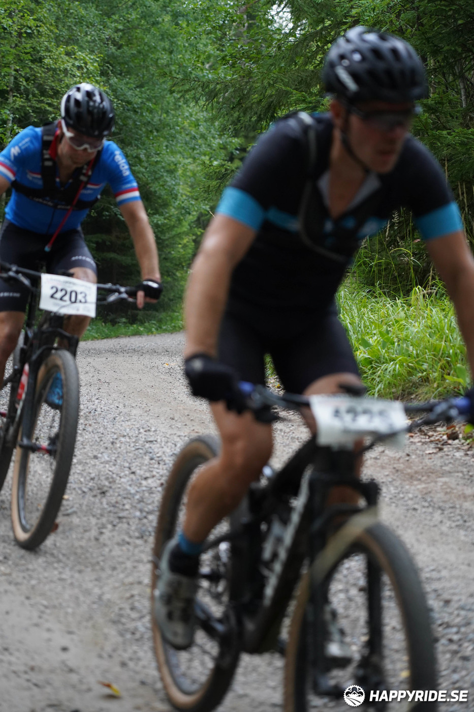 Bild från Finnmarksturen 2022