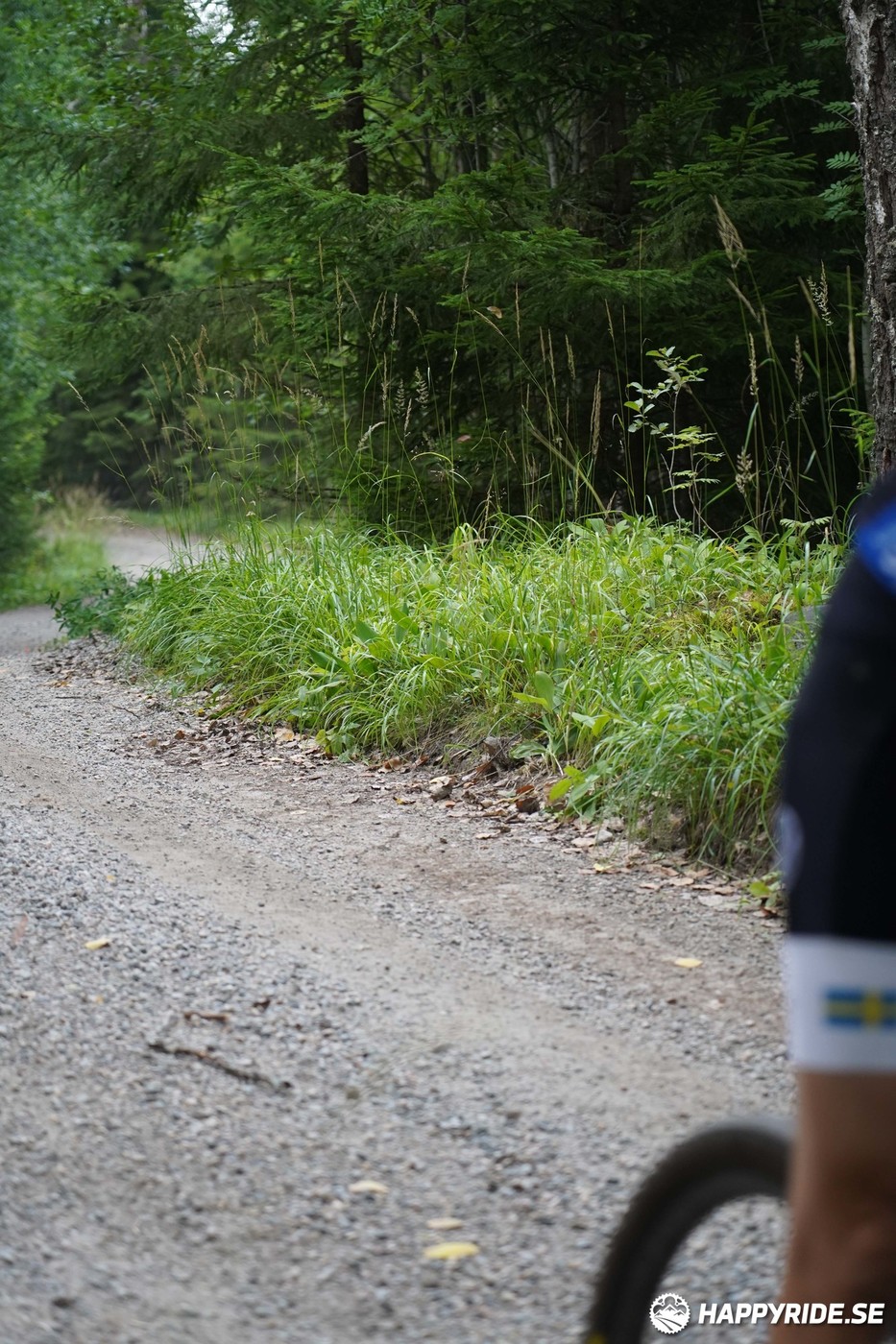 Bild från Finnmarksturen 2022