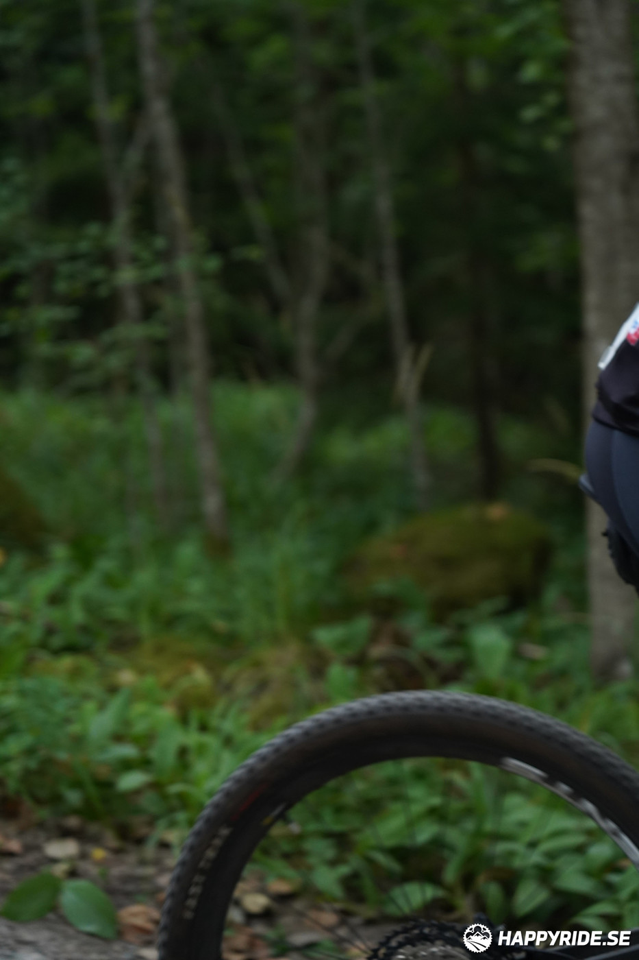 Bild från Finnmarksturen 2022