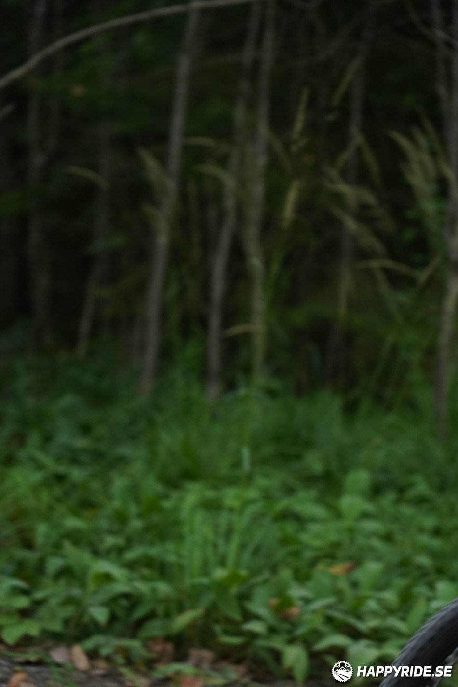 Bild från Finnmarksturen 2022