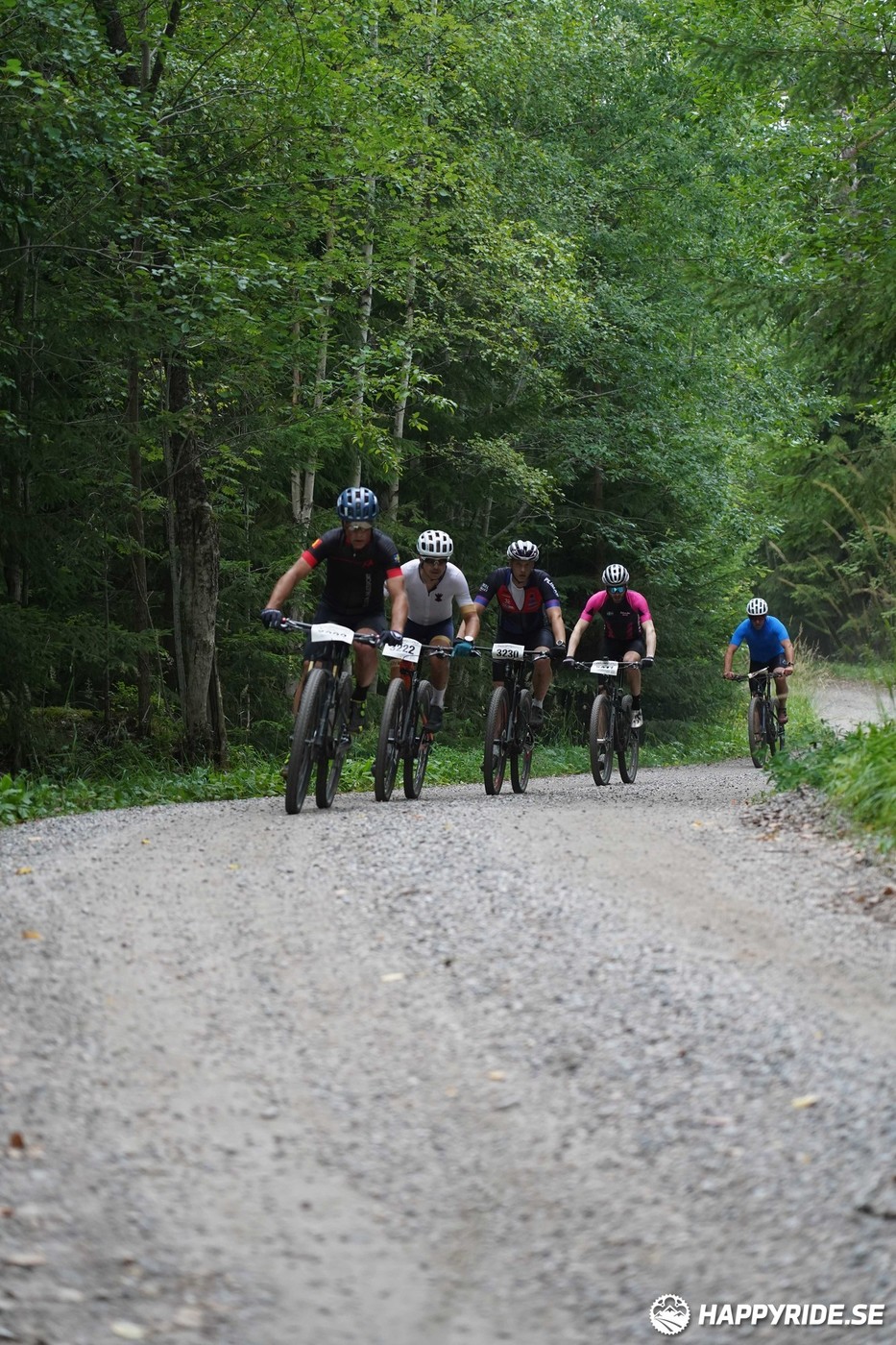 Bild från Finnmarksturen 2022