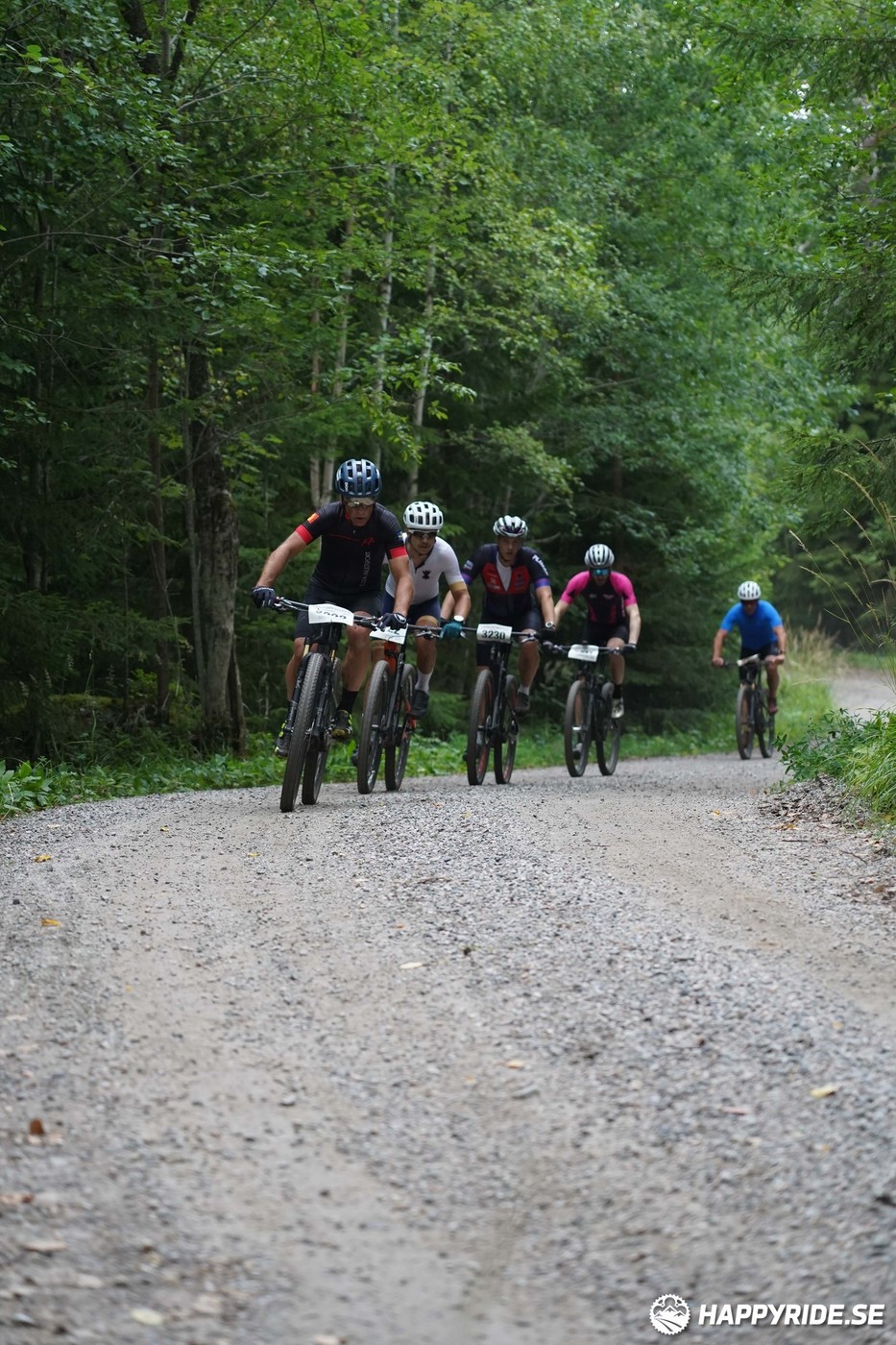 Bild från Finnmarksturen 2022