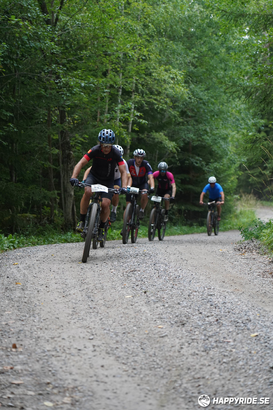 Bild från Finnmarksturen 2022