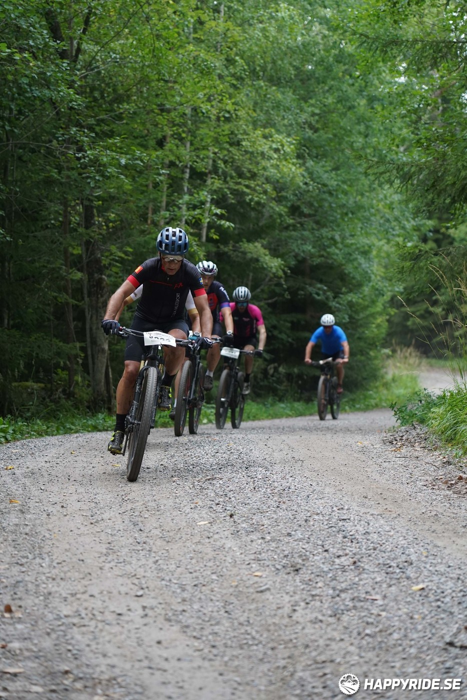 Bild från Finnmarksturen 2022