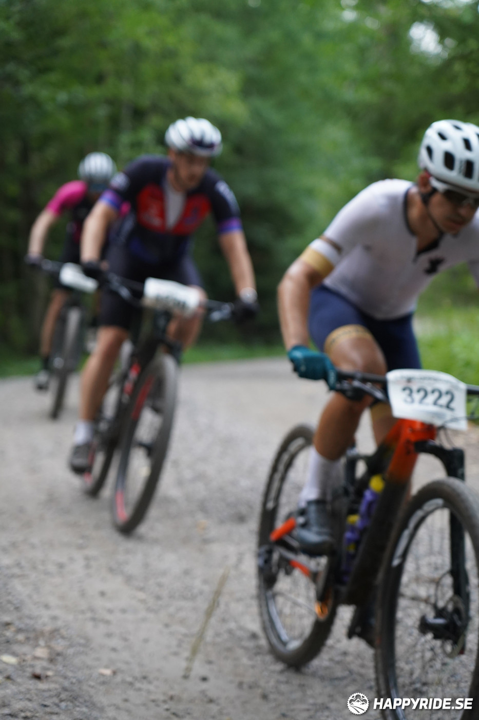 Bild från Finnmarksturen 2022