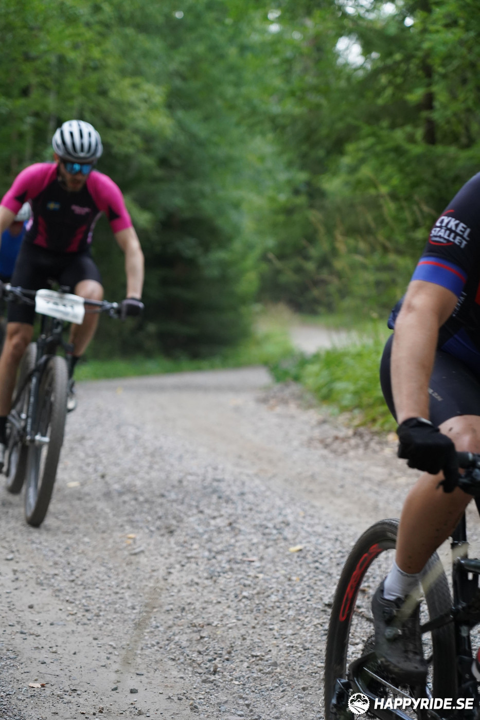 Bild från Finnmarksturen 2022