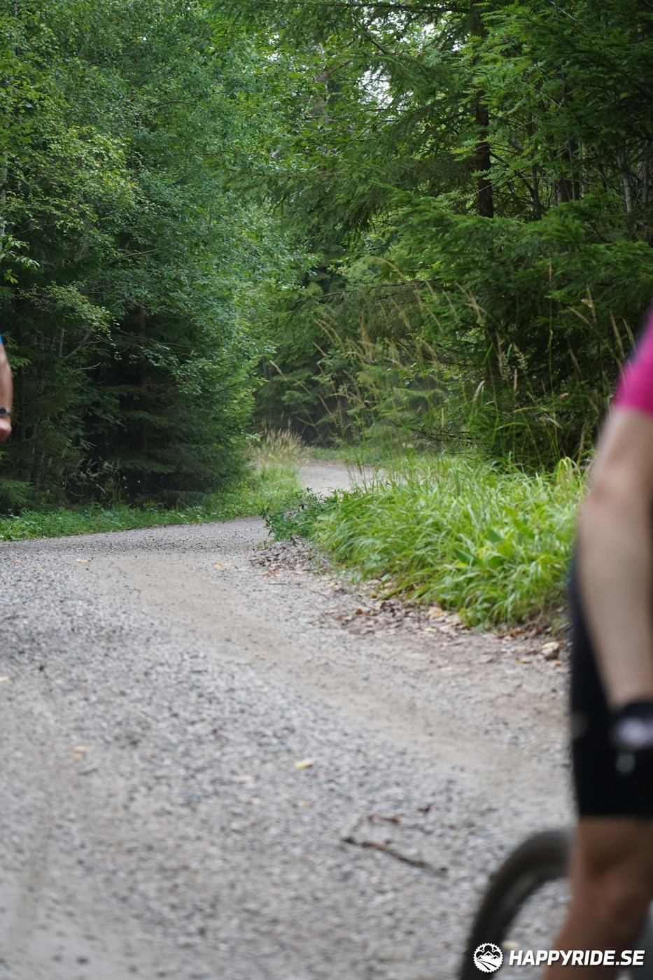 Bild från Finnmarksturen 2022