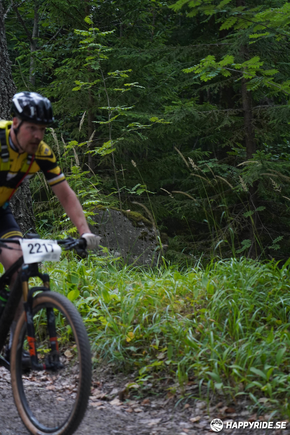 Bild från Finnmarksturen 2022