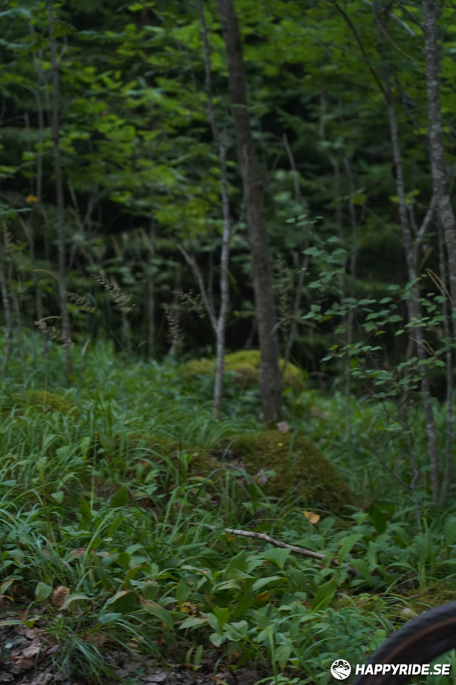 Bild från Finnmarksturen 2022