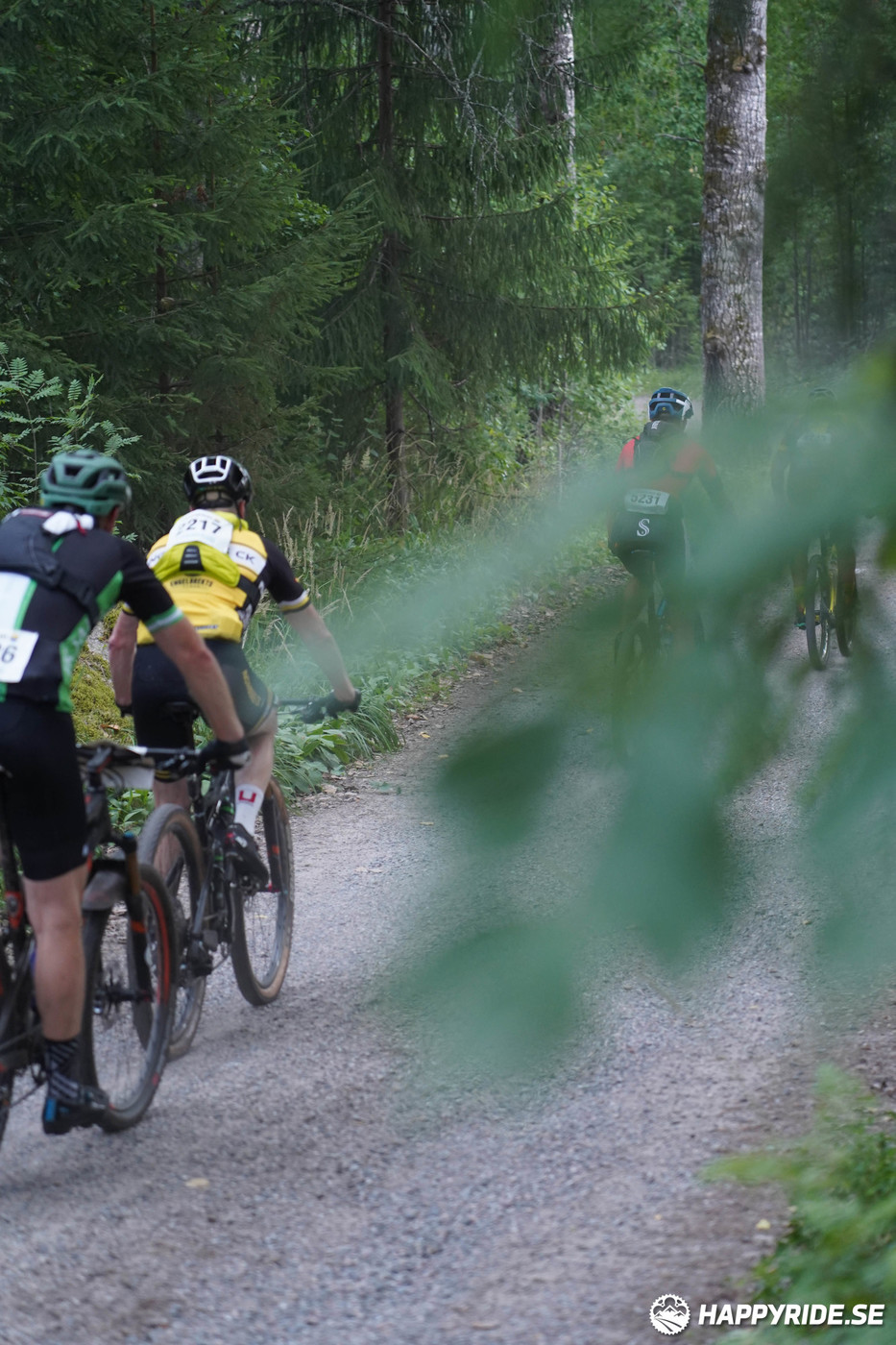 Bild från Finnmarksturen 2022