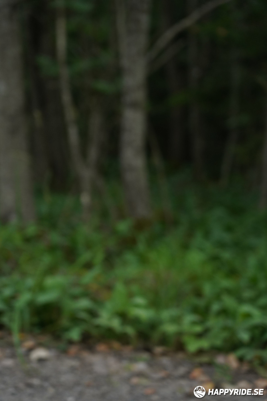 Bild från Finnmarksturen 2022