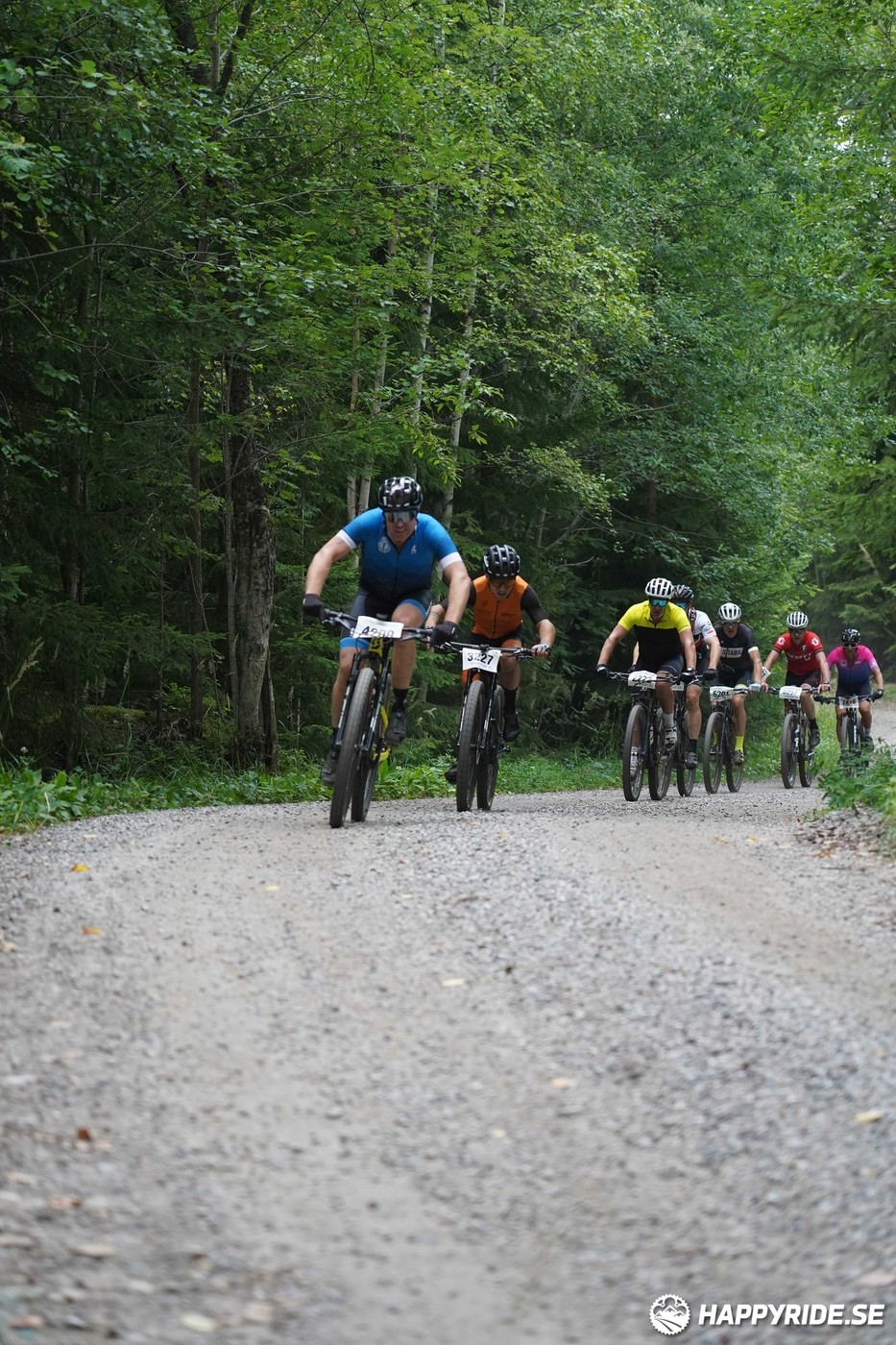 Bild från Finnmarksturen 2022