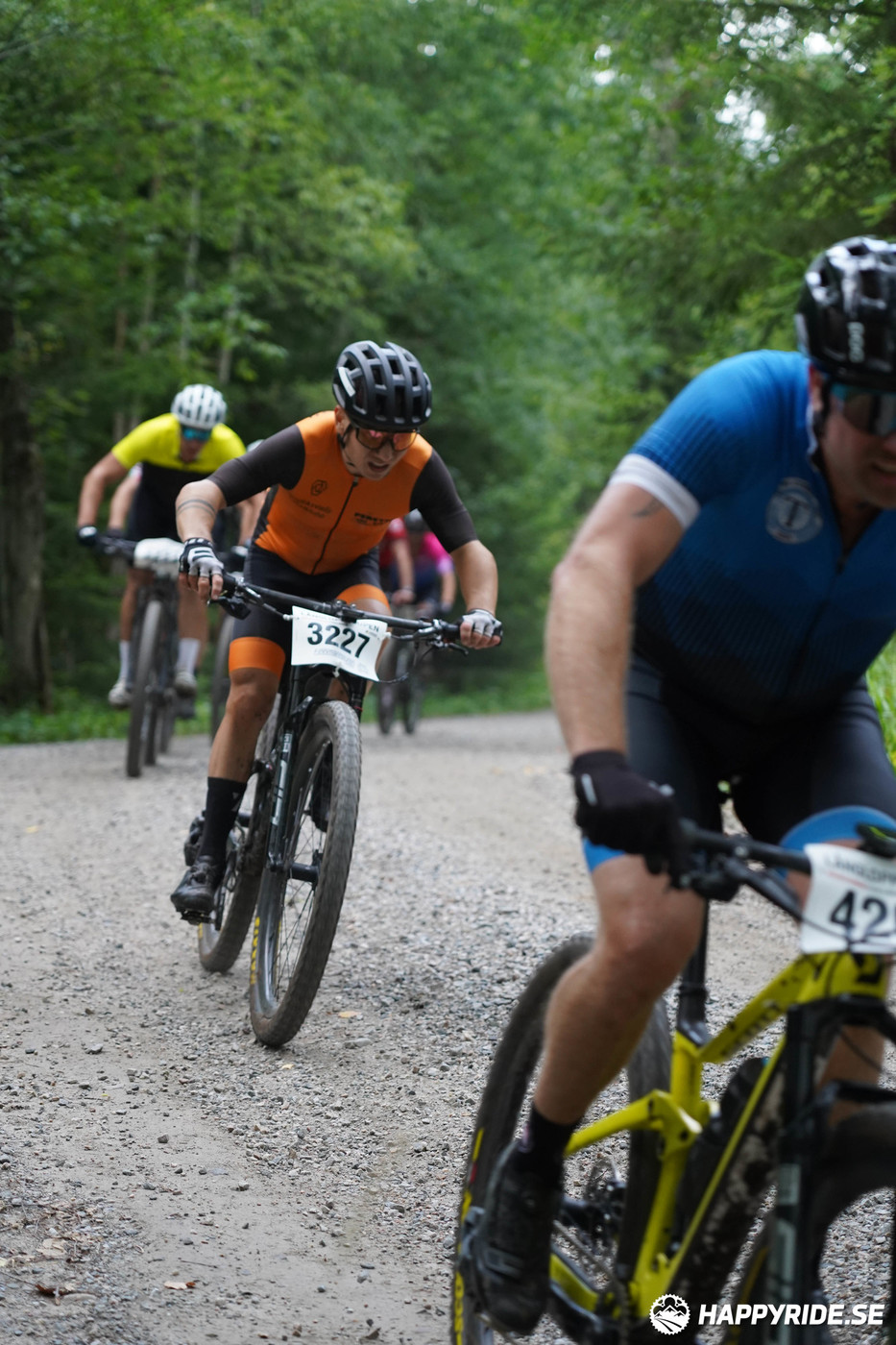 Bild från Finnmarksturen 2022