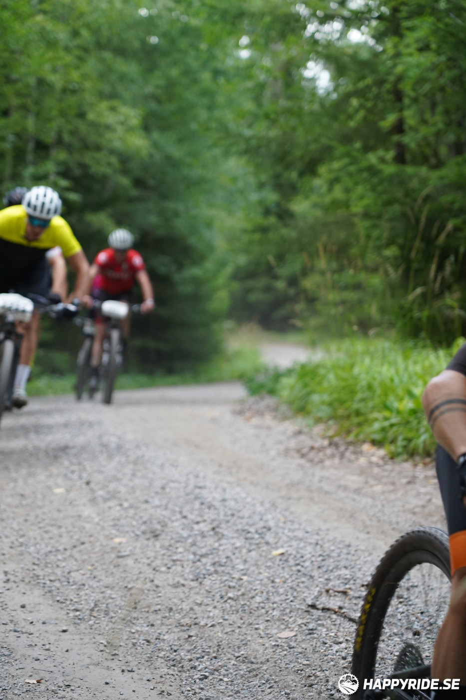 Bild från Finnmarksturen 2022