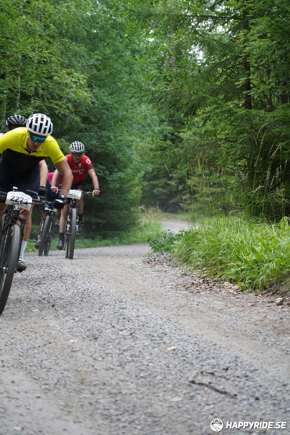 Bild från Finnmarksturen 2022