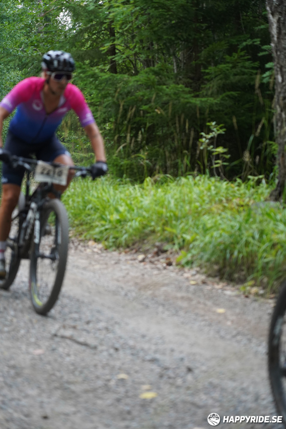 Bild från Finnmarksturen 2022