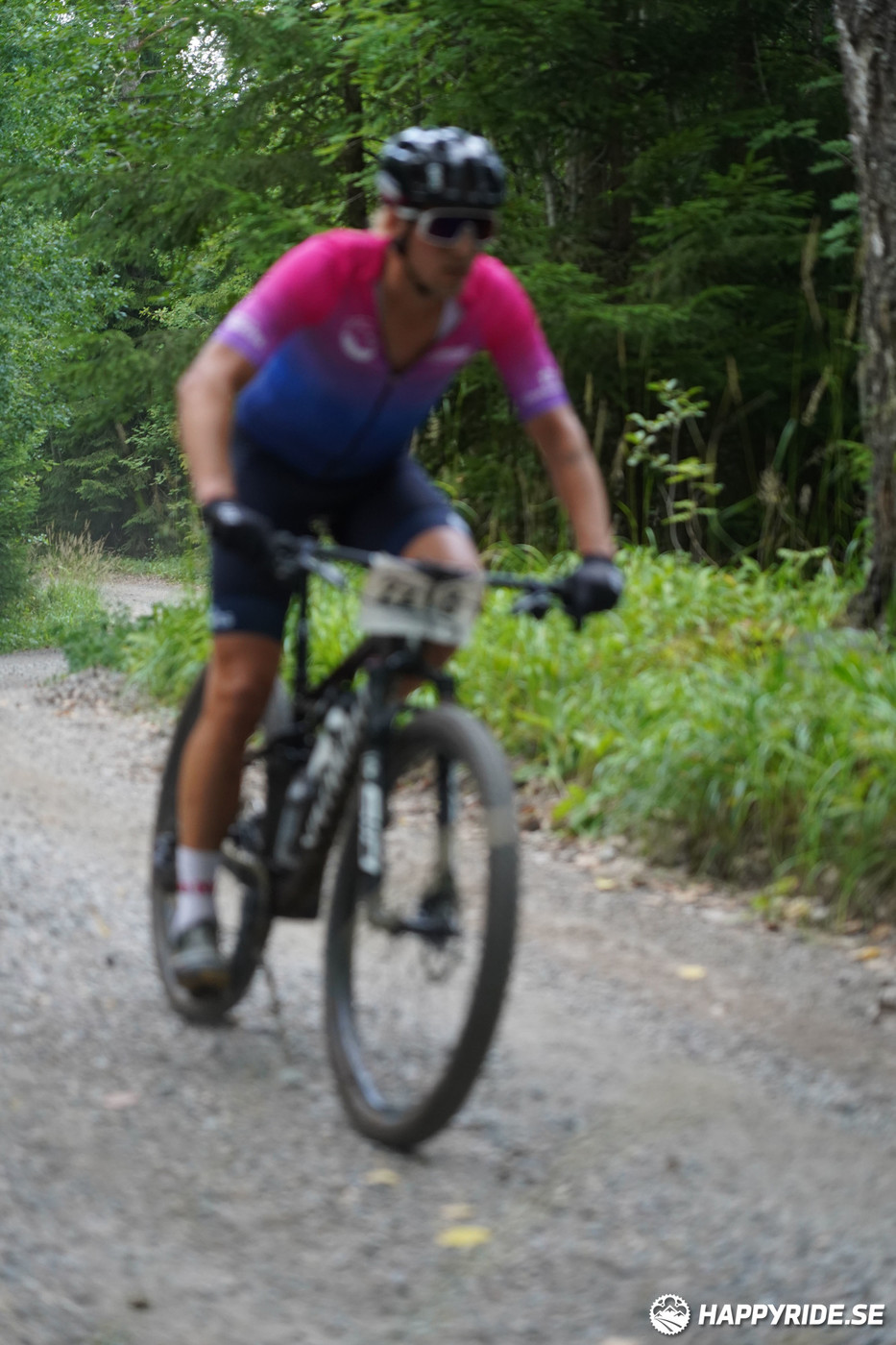 Bild från Finnmarksturen 2022