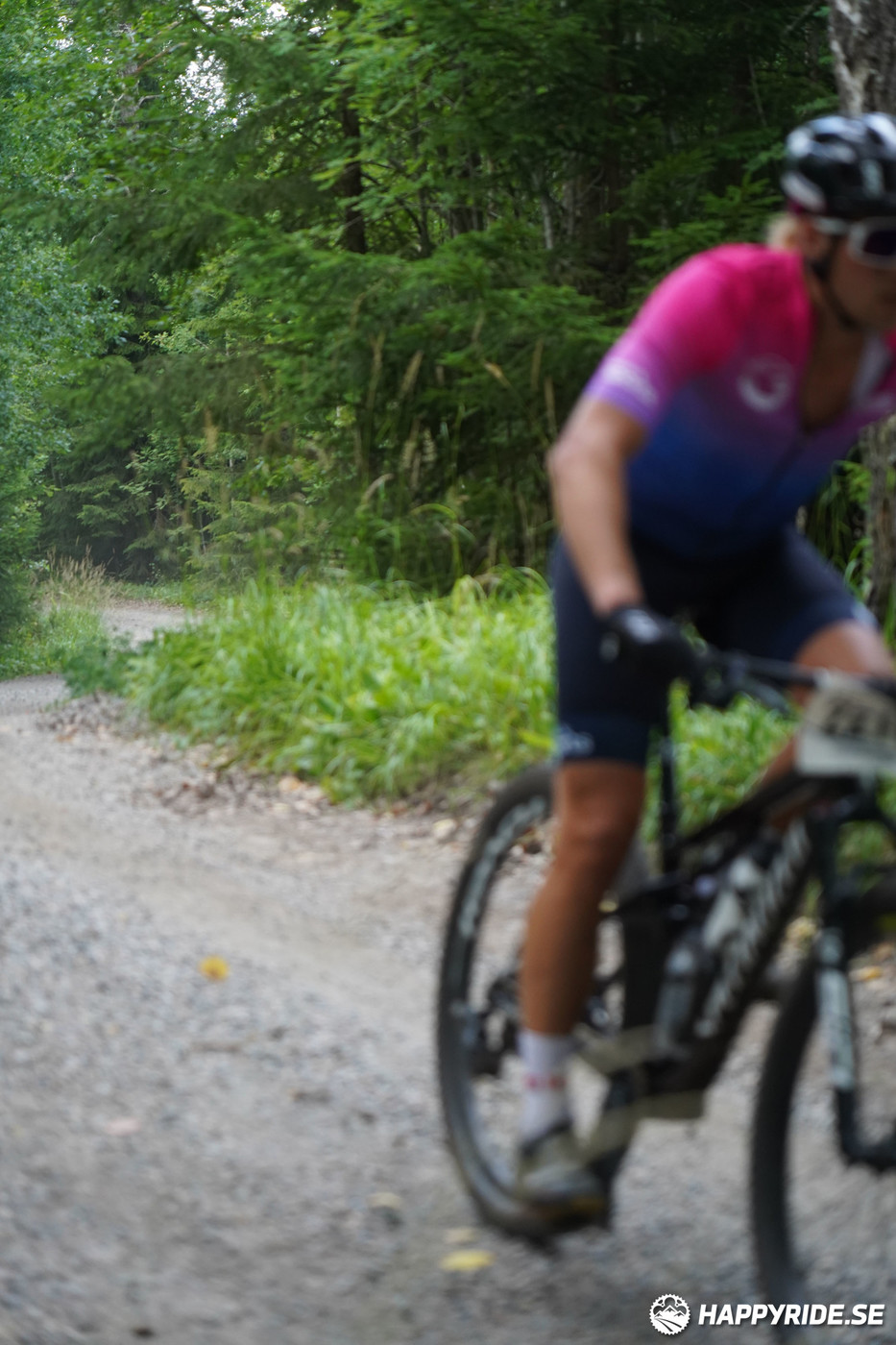 Bild från Finnmarksturen 2022