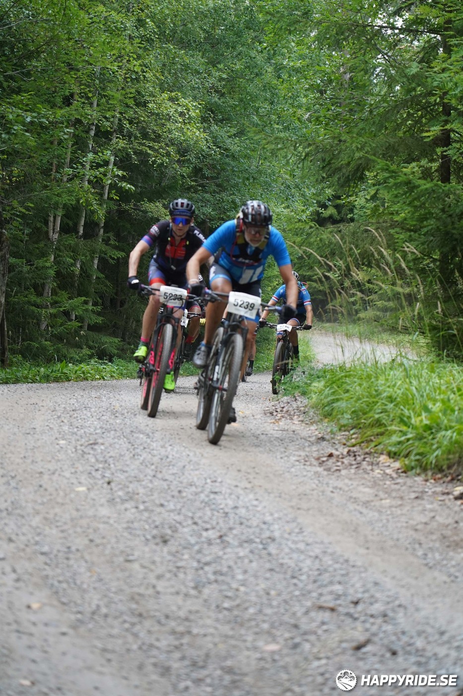 Bild från Finnmarksturen 2022