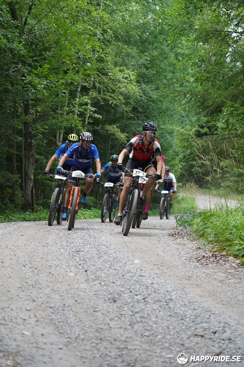 Bild från Finnmarksturen 2022