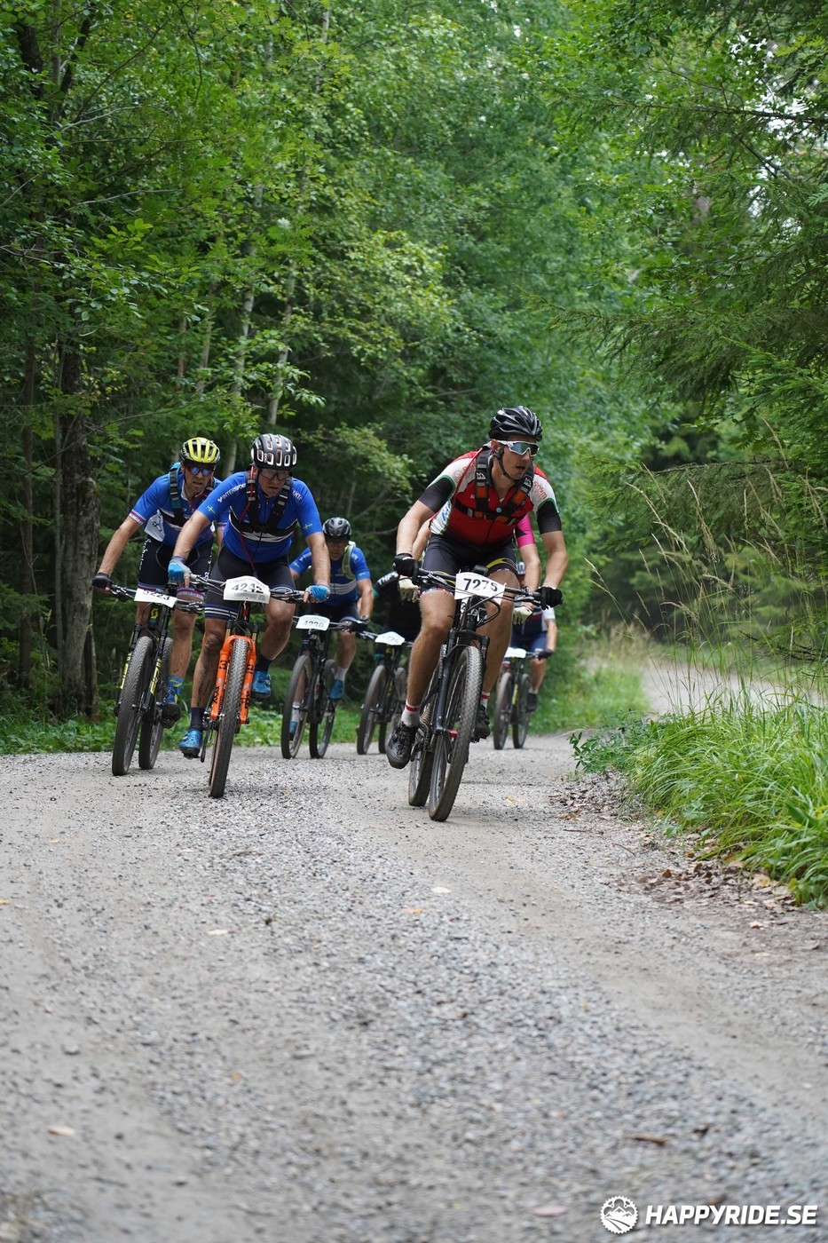 Bild från Finnmarksturen 2022