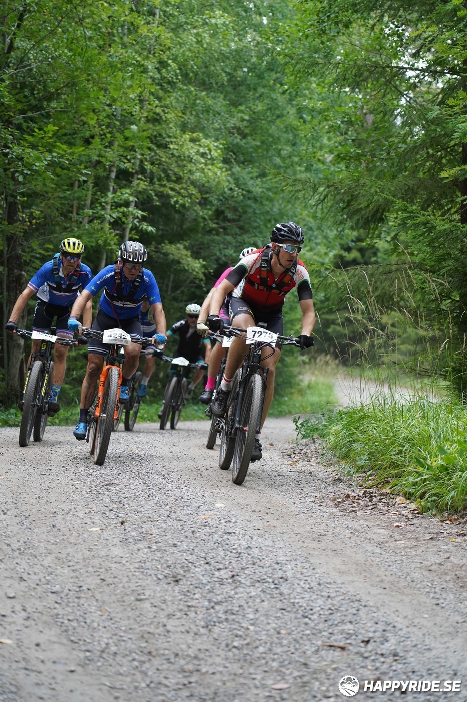 Bild från Finnmarksturen 2022