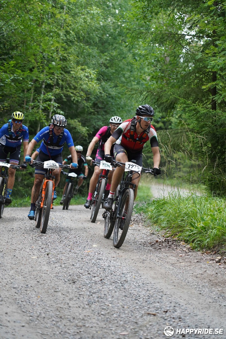 Bild från Finnmarksturen 2022