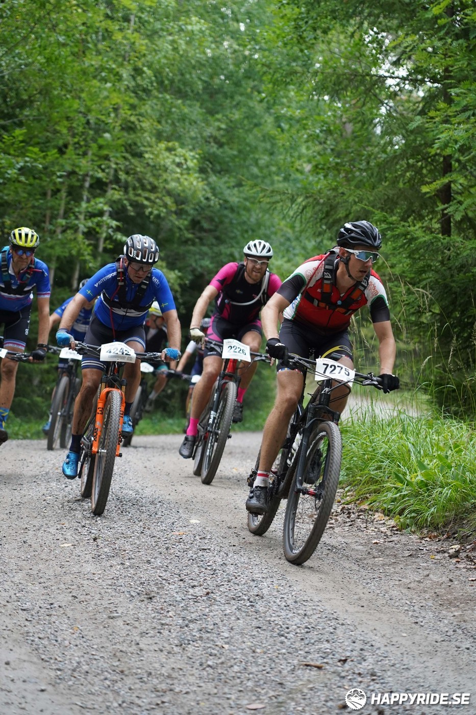 Bild från Finnmarksturen 2022