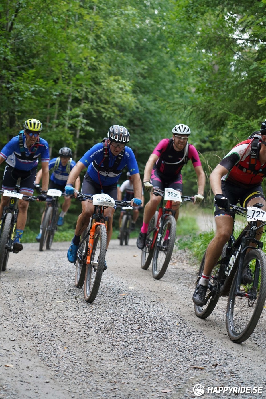 Bild från Finnmarksturen 2022