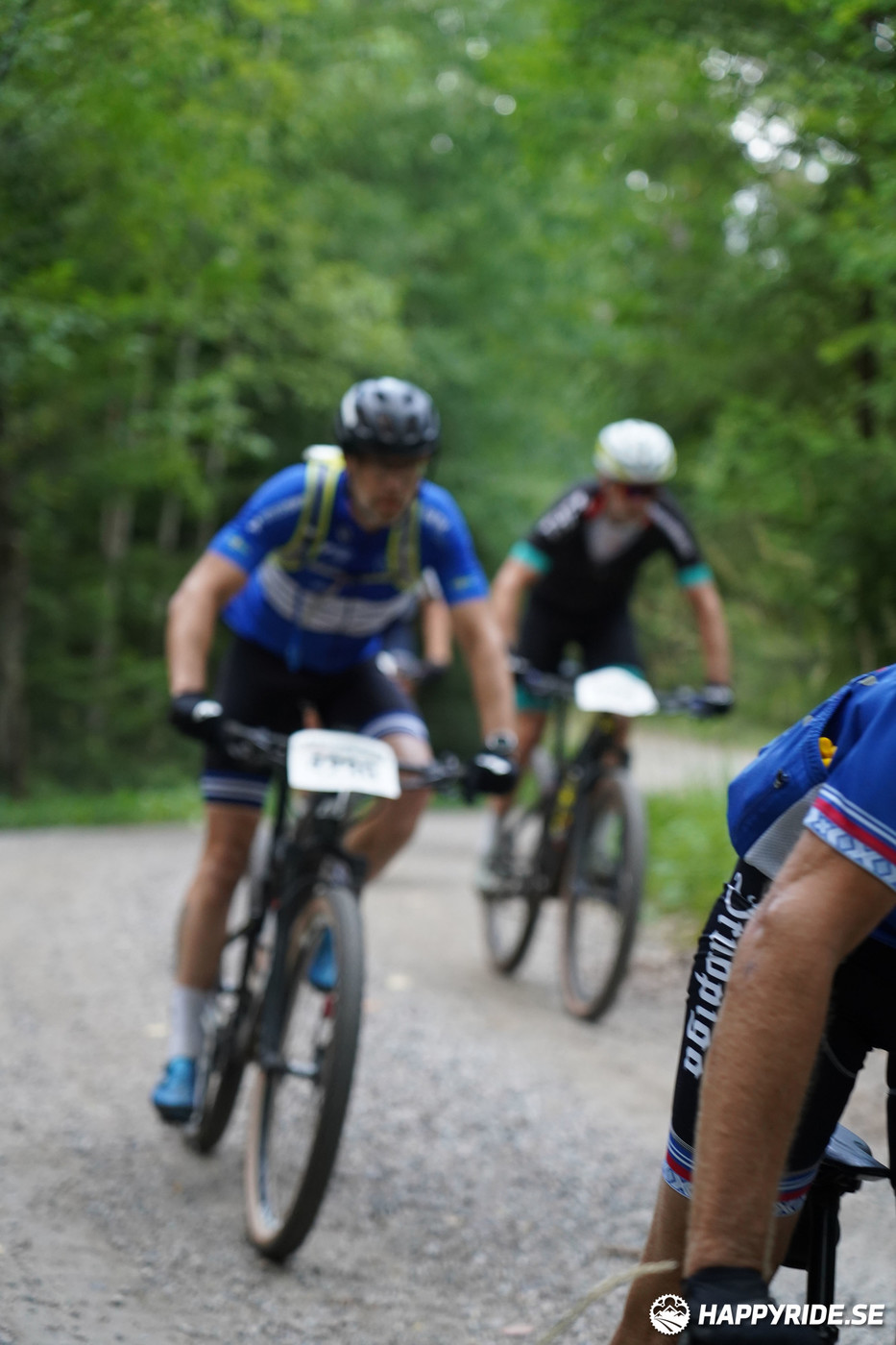 Bild från Finnmarksturen 2022