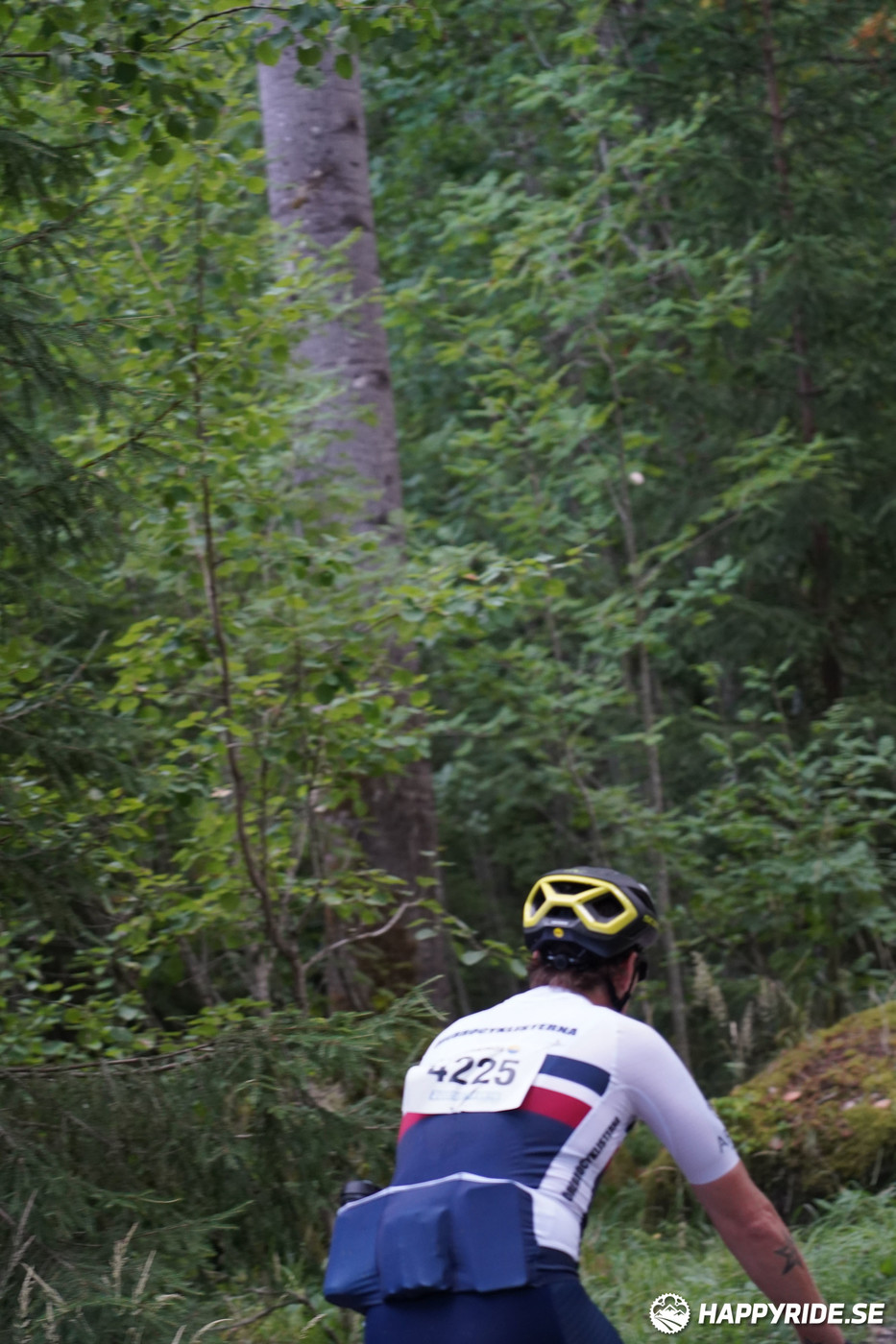 Bild från Finnmarksturen 2022