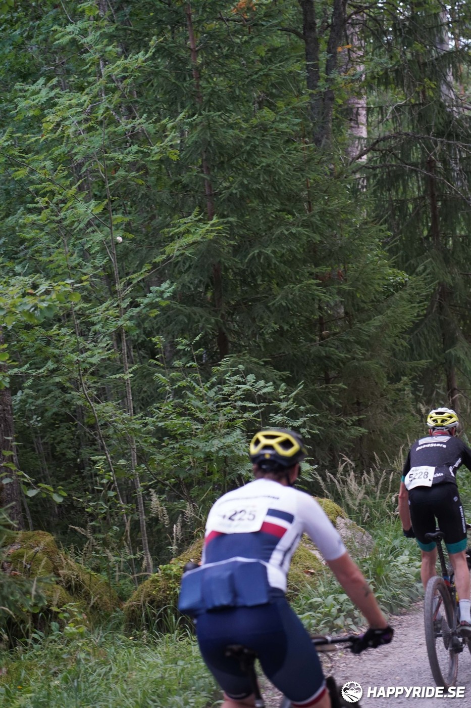 Bild från Finnmarksturen 2022