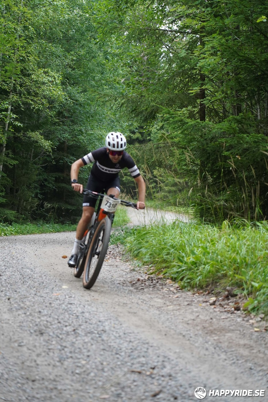 Bild från Finnmarksturen 2022