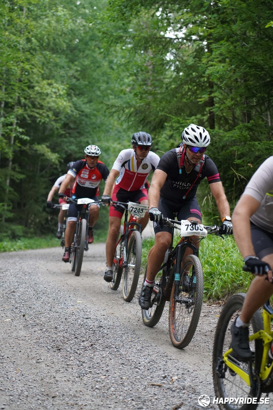 Bild från Finnmarksturen 2022