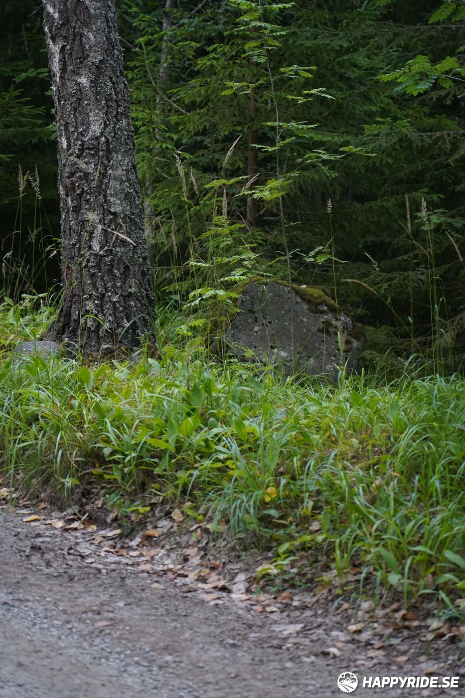 Bild från Finnmarksturen 2022