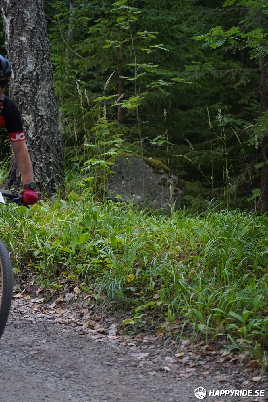 Bild från Finnmarksturen 2022