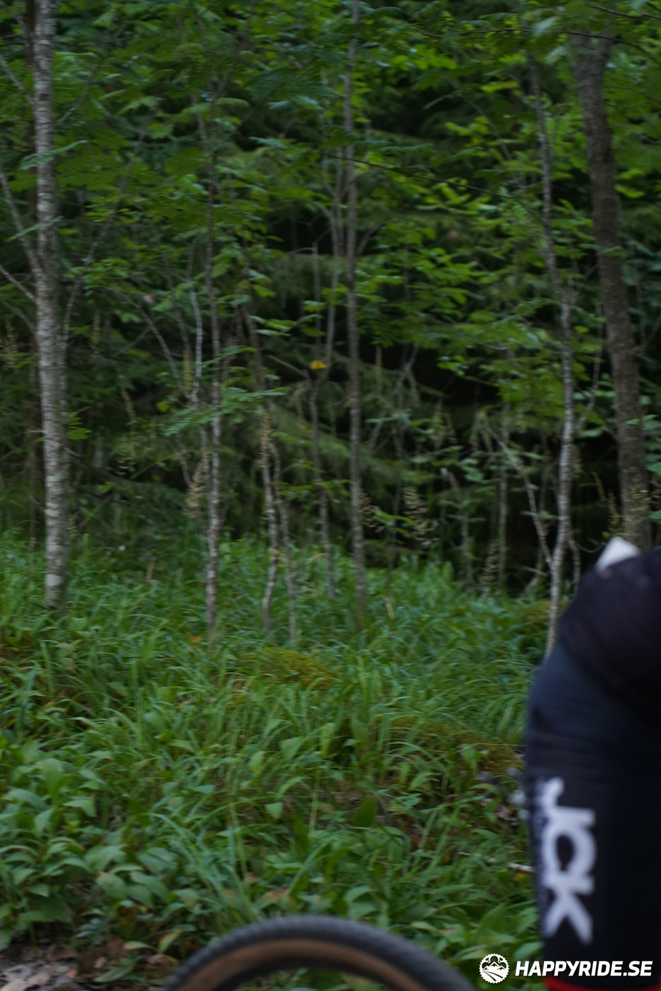 Bild från Finnmarksturen 2022