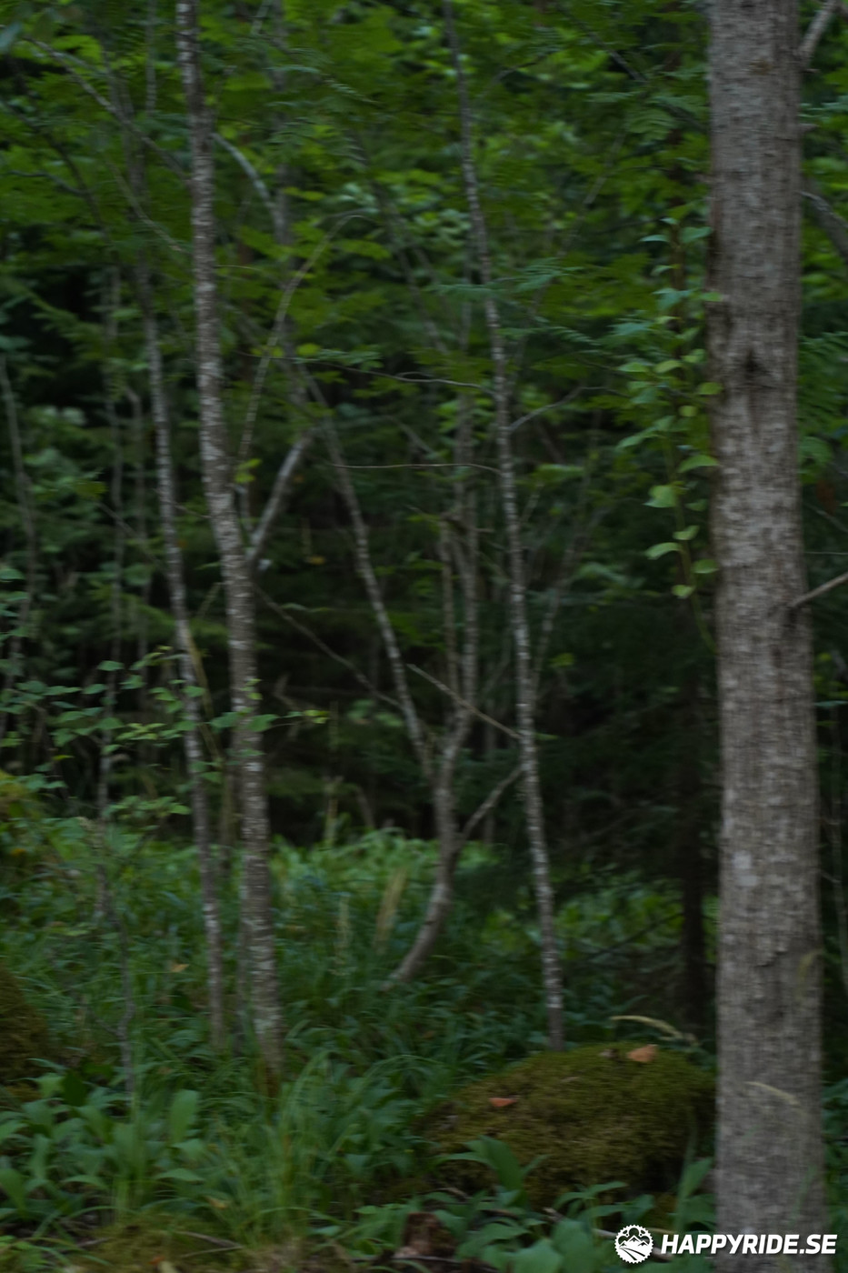 Bild från Finnmarksturen 2022