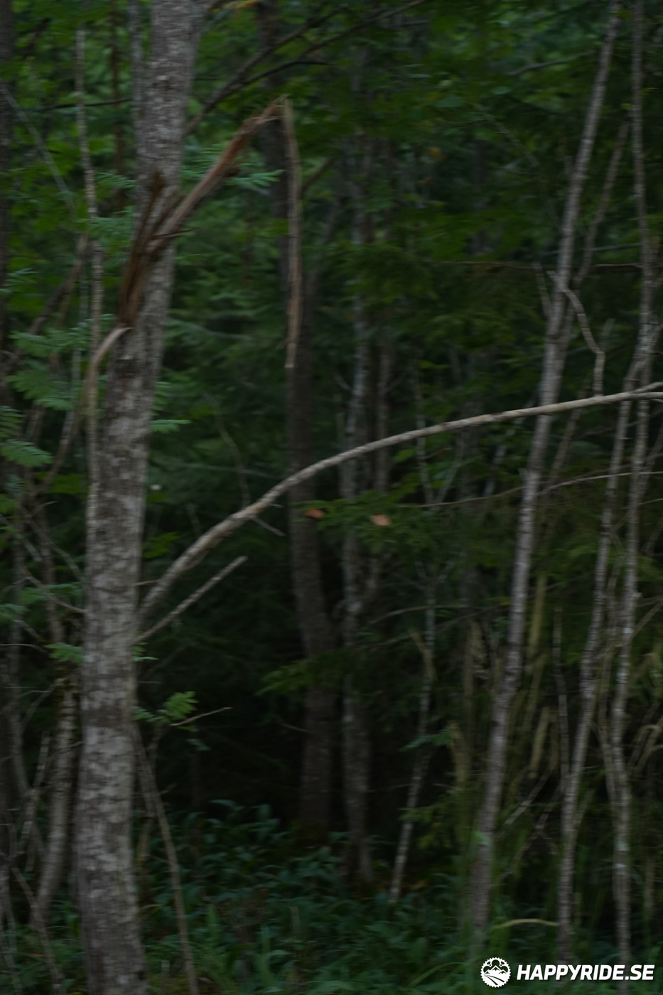 Bild från Finnmarksturen 2022