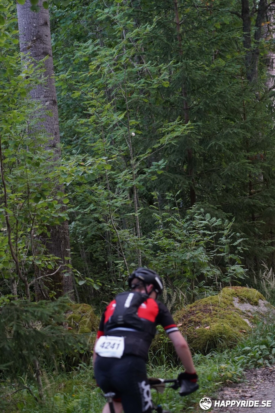 Bild från Finnmarksturen 2022