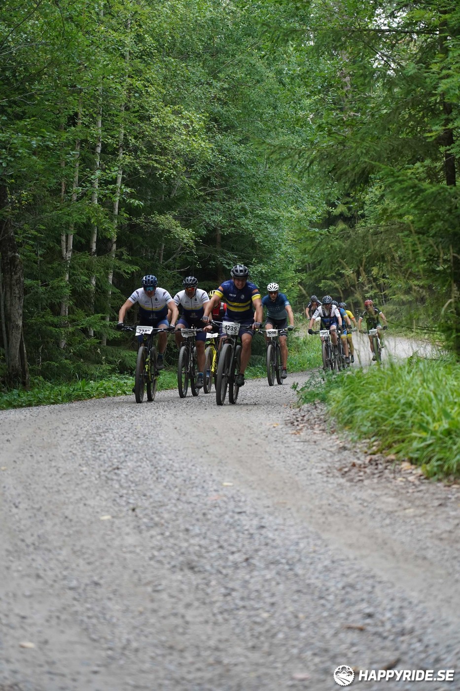 Bild från Finnmarksturen 2022