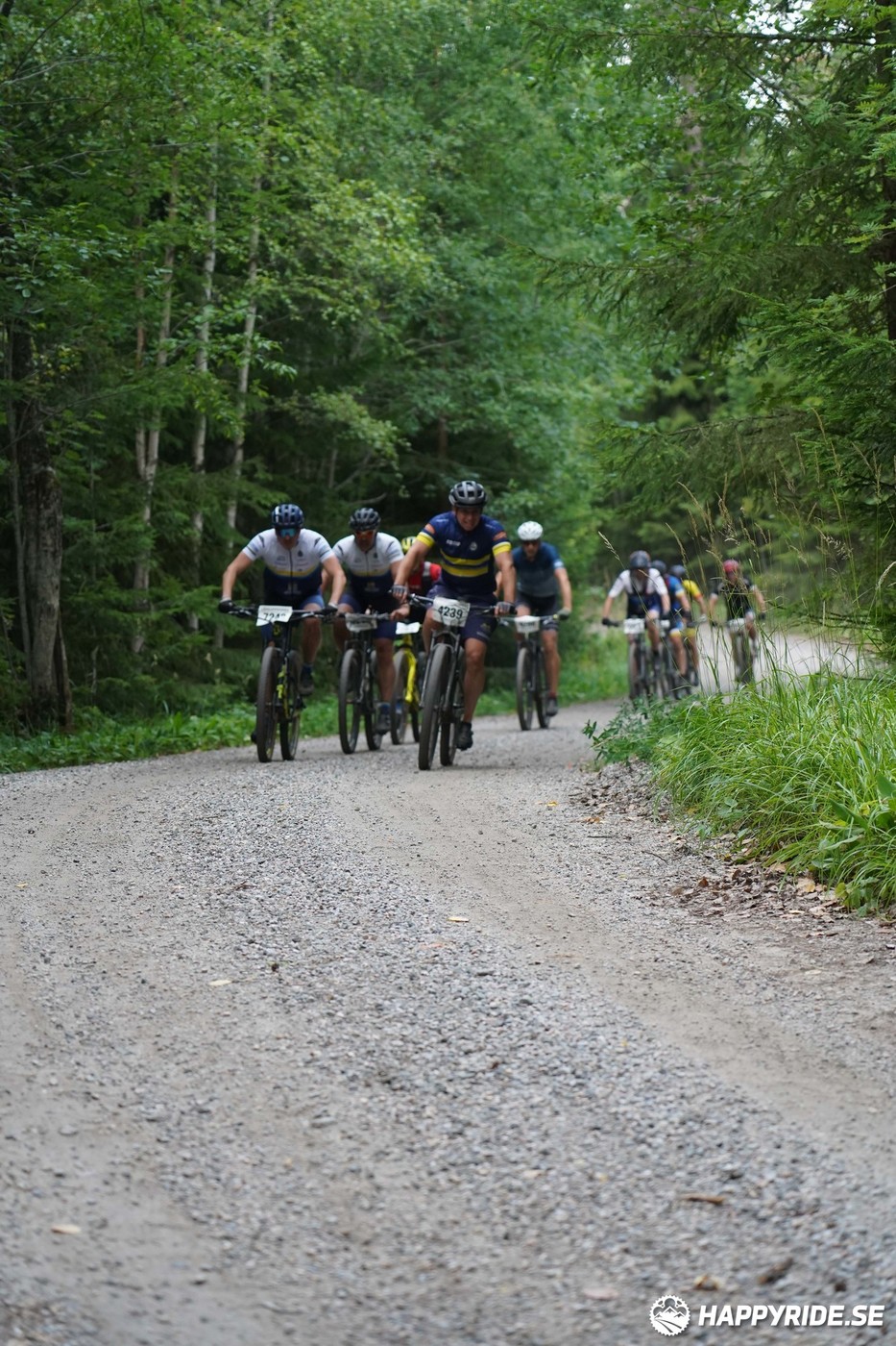 Bild från Finnmarksturen 2022