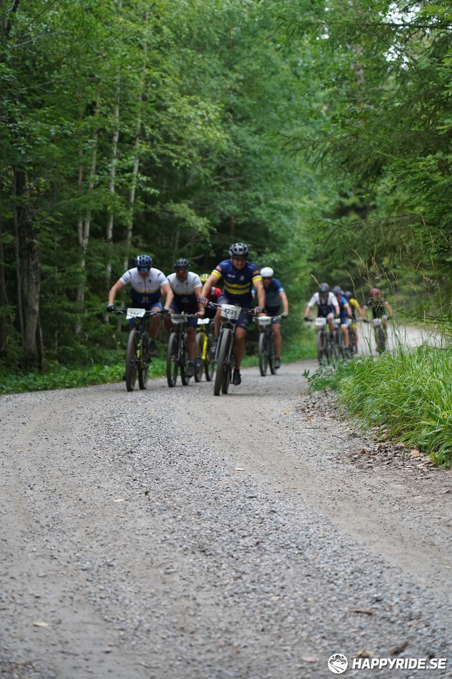 Bild från Finnmarksturen 2022