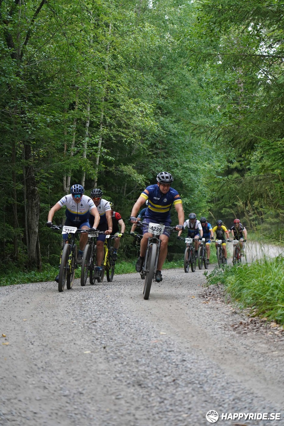 Bild från Finnmarksturen 2022