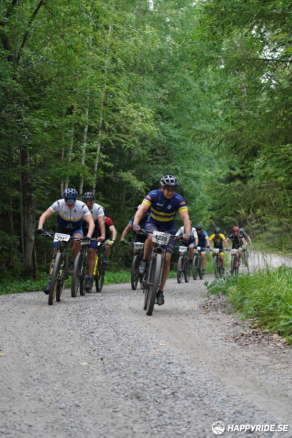 Bild från Finnmarksturen 2022