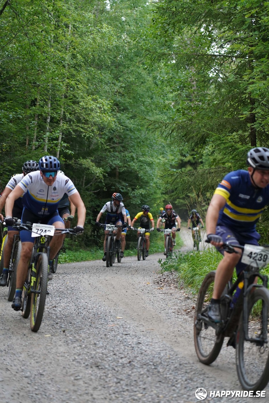 Bild från Finnmarksturen 2022