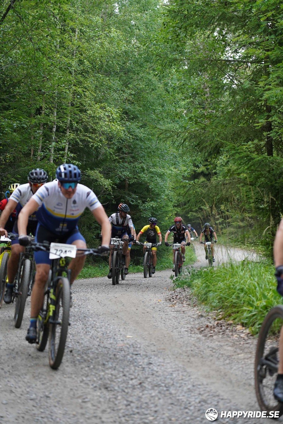 Bild från Finnmarksturen 2022